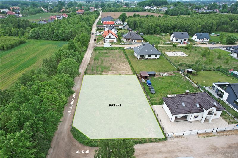 3256